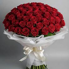Букет 101 Красная роза Блэк Мэджик в Лобаново