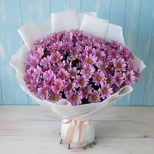 Букет цветов из:  Хризантемы #REPLACE_PRED# Лобаново