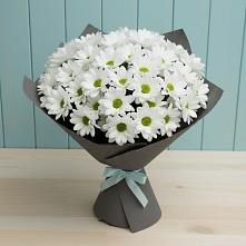 Букет цветов из:  Хризантемы в Лобаново