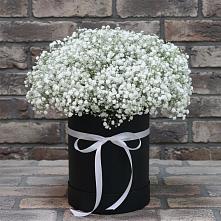 Цветочная композиция из Гипсофила в шляпной коробке #REPLACE_PRED# Лобаново